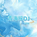 青海摇DJ (秋招版)