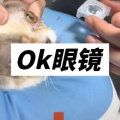 OK眼镜 (喵喵版)