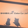 猫咪唱歌好上头 (Cotton Eye Joe)