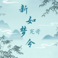 宪哥 - 新如梦令