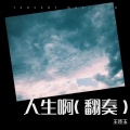人生啊