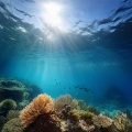 El proyecto del ruido、Ruidos amplios、Las Islas Doradas - Viajando A Través De Tonos