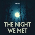 The Night We Met (Acoustic Female Version)