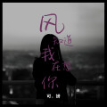 风知道我在想你 (粤语金曲)