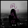 可妍 - 风知道我在想你