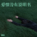 娜妹 - 爱情没有说明书
