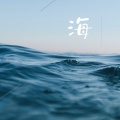 海