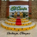 MP Music、Banda Los Auténticos Jaliscienses、Cris Solano - El Conta