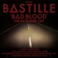 Bastille - Flaws