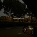 東Official - BINGBIAN病变 (Slow)