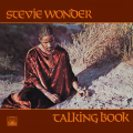 Stevie Wonder - Blame It On The Sun