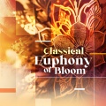 Tbilisi Symphony Orchestra、Vakhtang Kakhidze - Romeo and Juliet, Suite No. 1, Op. 64: IV. Minuet