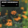 你的阿柳 - 我回到那个名叫爱情的地方