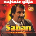 saban bajramovic - Pitao sam malog puza