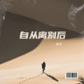 暖宝 - 自从离别后
