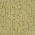 Chiquis - Technical Terms