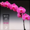 Shawn Forrest - Say to Me (Original Mix)