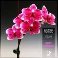 COOLMIX - Noise (Original Mix)