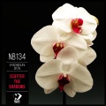 Vyacheslav Sitov - Scatter the Shadows (Original Mix)