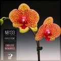 RafleSTone - Endless Memories (Original Mix)