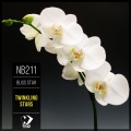 Bliss Star - Lonely Angel (Original Mix)