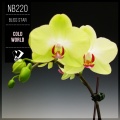 Bliss Star - Sea World (Original Mix)
