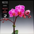 Daminika - Snatches of Memory (Original Mix)
