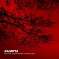 Brussels Jazz Orchestra、Naima Joris - Gaivota (feat. Naima Joris)
