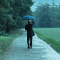 Karl Lippert - I Fall