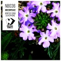 Greenpeace - Winter Song Saxophone (Original Mix)