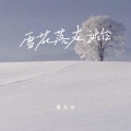 黄文文 - 雪花落在站台 (你也没回来)