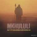 Ray T、Malungelo、Shona SA - Mkhululi