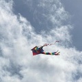 Wings to fly