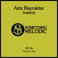 Aziz Bayraktar - Suddenly (Original Mix)