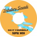 Supul Weh、Tributary Sounds - Do It Yourself
