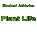 Musical Athletes - Pine Apple