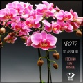 Solar Sound - Blurry (Original Mix)