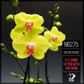 Solar Sound - I'll Come to You with the Rain (Original Mix)