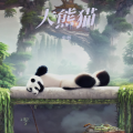 半卷 - 快乐的大熊猫