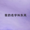 我的名字叫东风