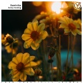 Daminika - Sunny Evening (Original Mix)