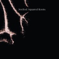 Seefeel - As X Is Y