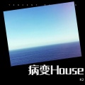 病变 House