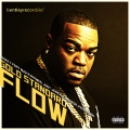 Gold Standard Flow (Explicit)