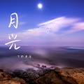 月光下的溪流