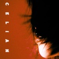 Gustixa - Celian (Piano Type)
