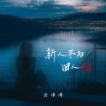 苏谭谭 - 新人不知旧人泪