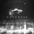 Velvet Echo - Darkness