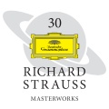 Ronald Janezic、Vienna Philharmonic Orchestra、André Previn - R. Strauss: Horn Concerto No.2 in E flat - Andante con moto