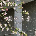 缘为冰 - 弱水三千